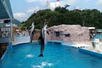 特典3 下田海中水族館入園券プレゼント