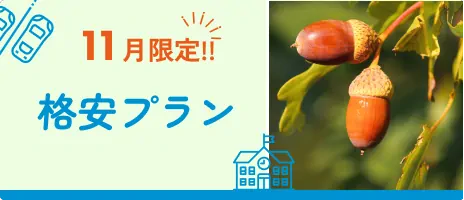 格安シングル 11月